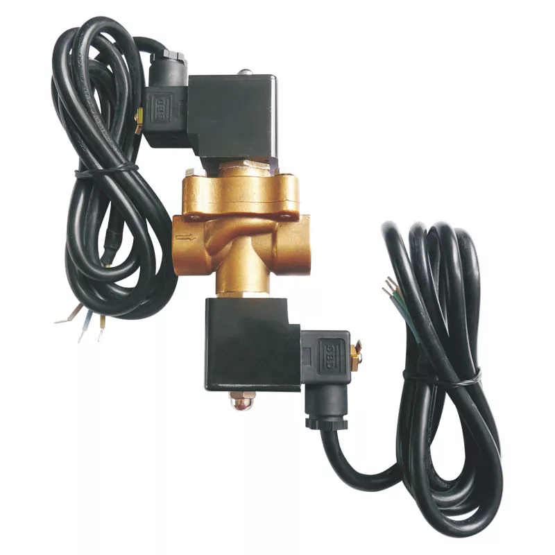 Aliran ganda katup solenoid dispenser LPG