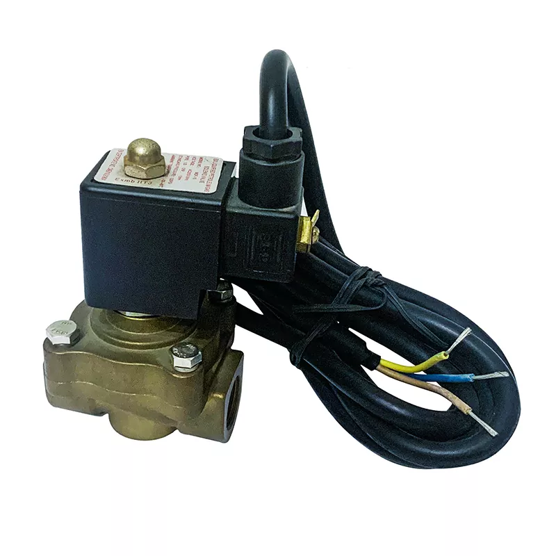Aliran tunggal katup solenoid dispenser LPG